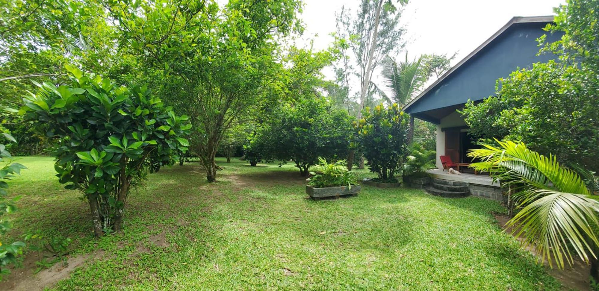 Bed and Breakfast Les Citronniers Ile Sainte-Marie Esterno foto